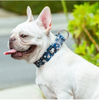 Collier pour chien floral rembourré en nylon