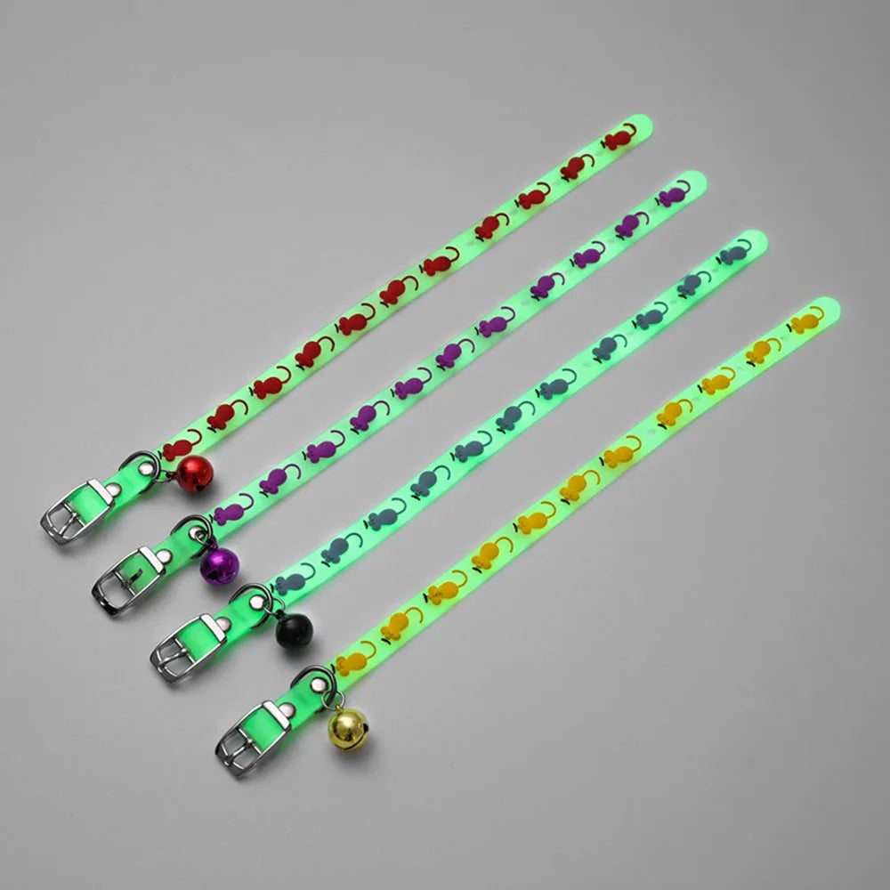 Collier lumineux en silicone pour chat