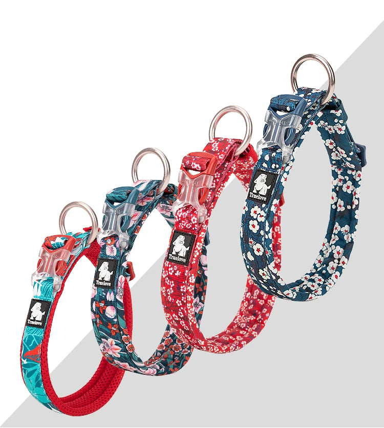 Collier pour chien floral rembourré en nylon