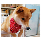 Collier bandana pour chien & chat