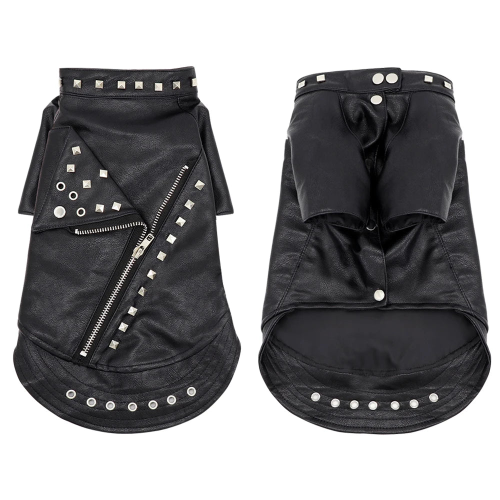 Veste en cuir noir - chien ou chat
