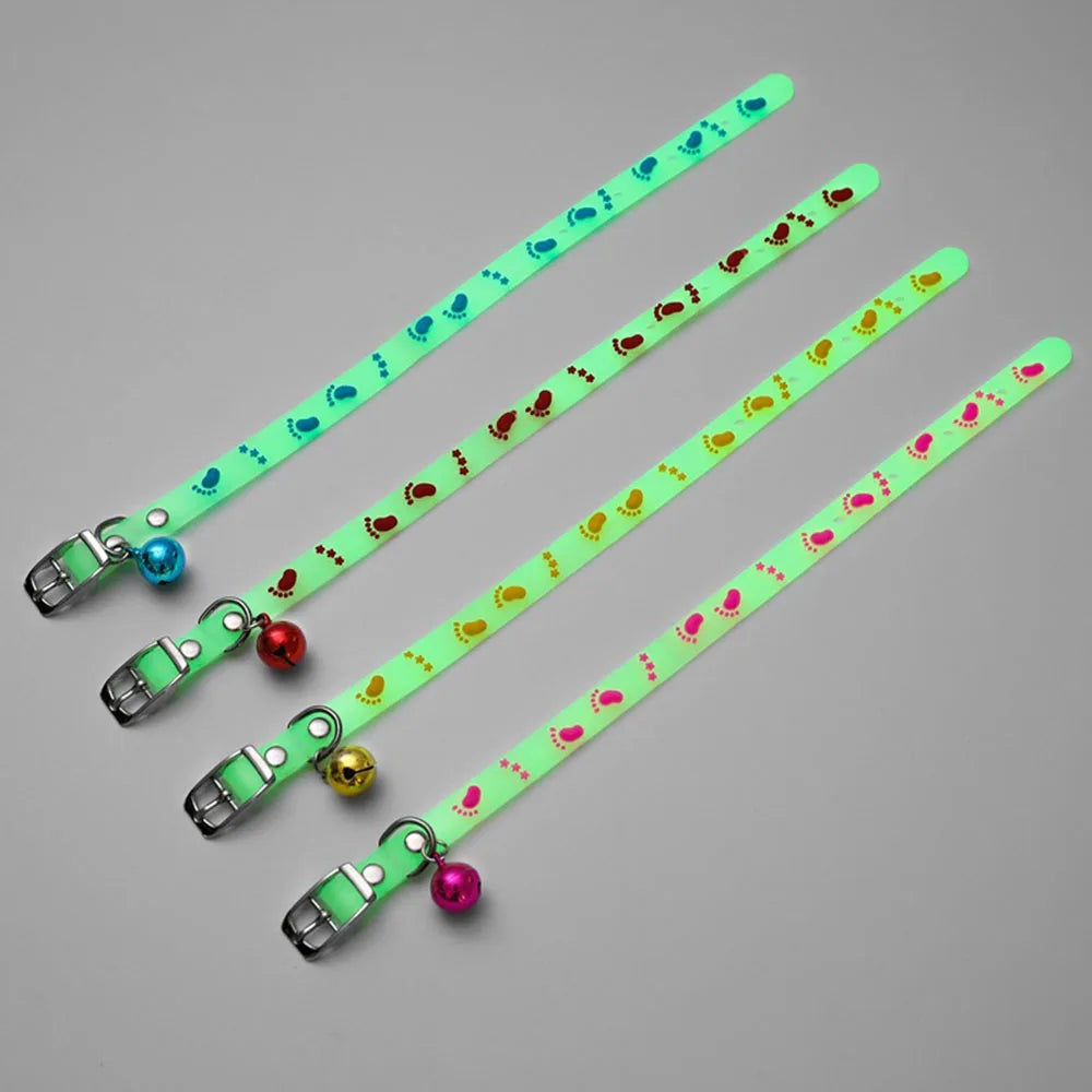 Collier lumineux en silicone pour chat