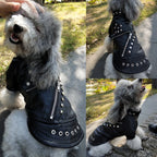 Veste en cuir noir - chien ou chat