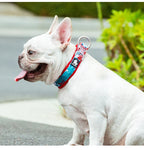 Collier pour chien floral rembourré en nylon