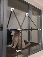 Hamac simple ou double - chat