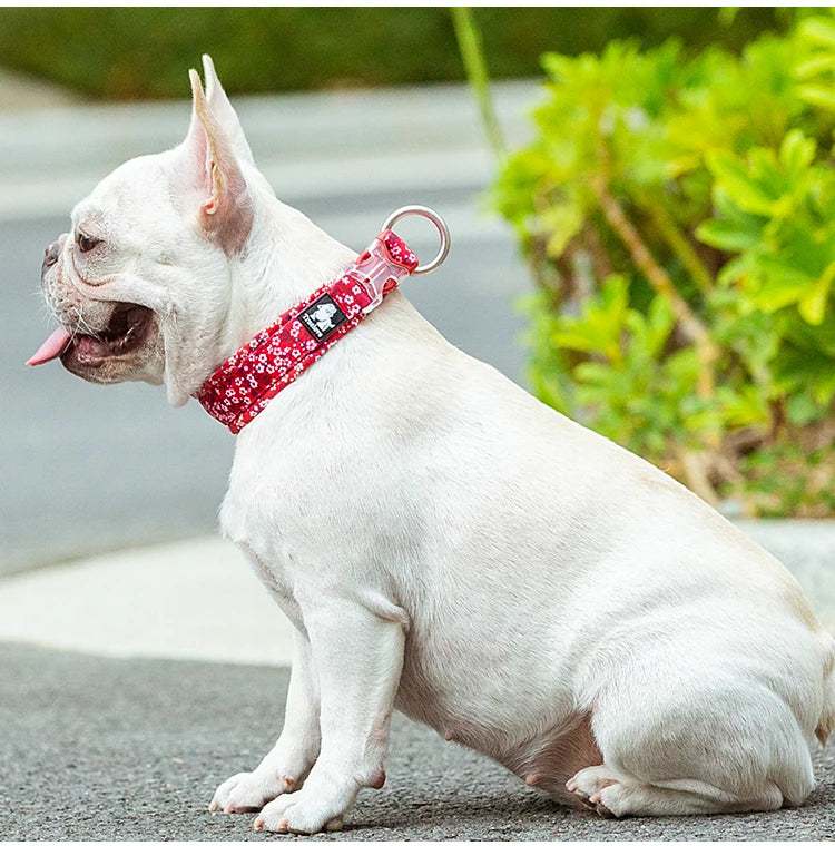 Collier pour chien floral rembourré en nylon