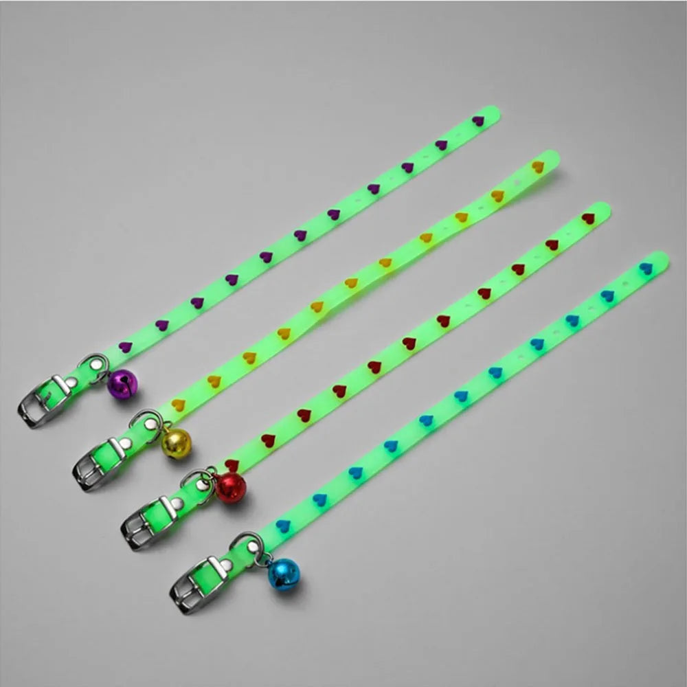 Collier lumineux en silicone pour chat