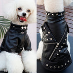 Veste en cuir noir - chien ou chat
