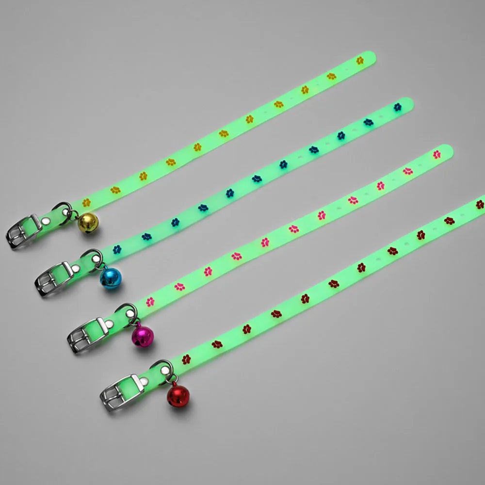 Collier lumineux en silicone pour chat