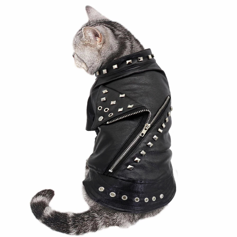 Veste en cuir noir - chien ou chat