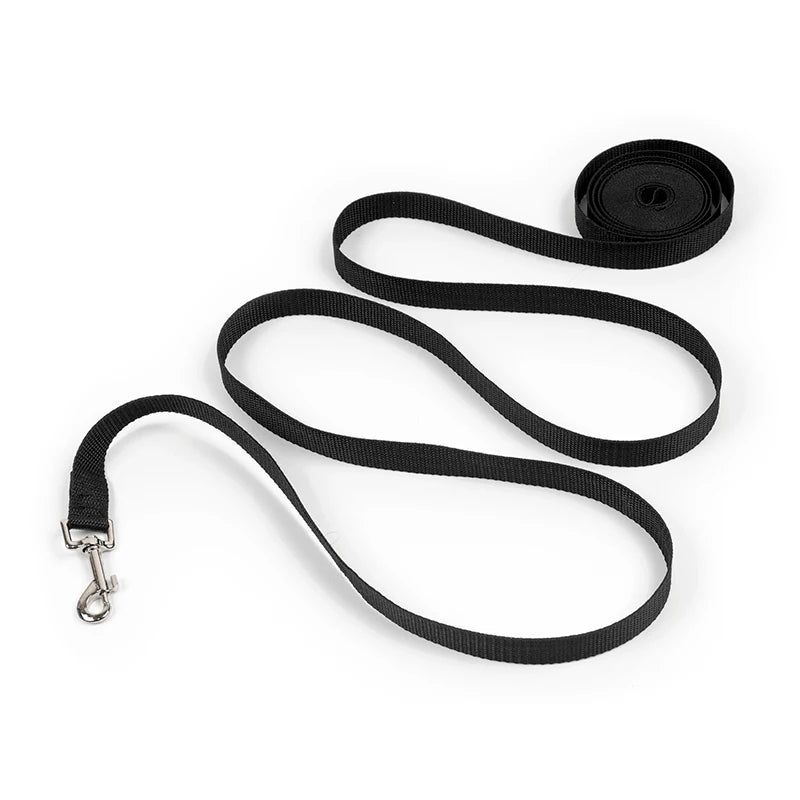 Laisse d’Entraînement en Nylon Durable pour Chien