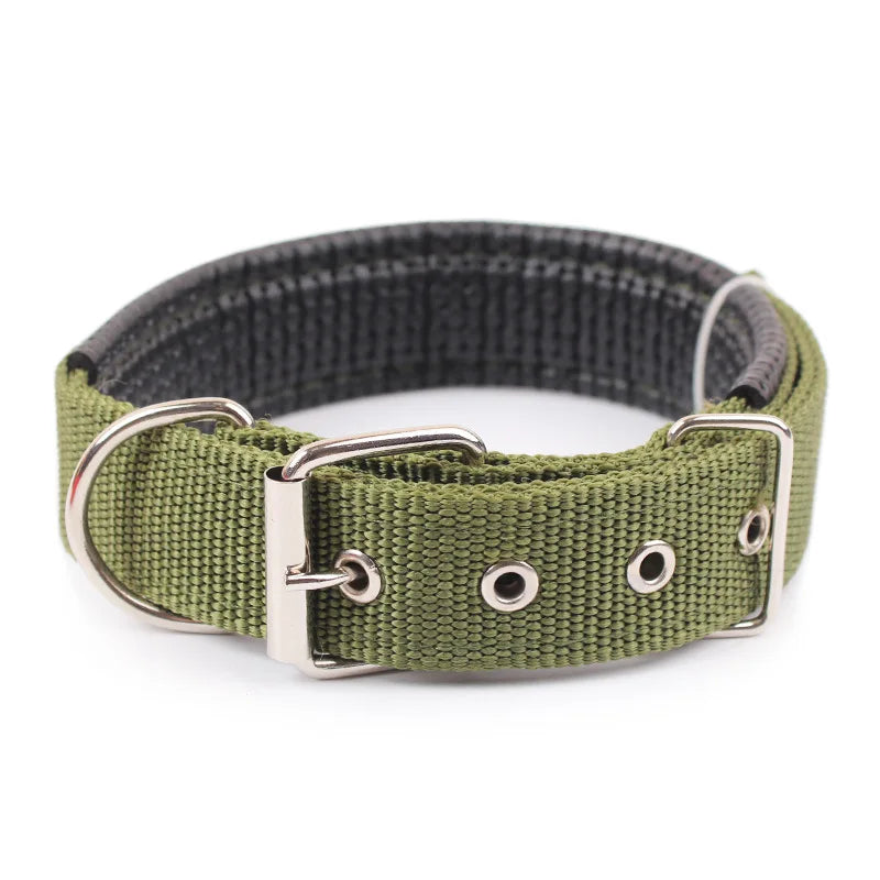 Collier en nylon solide pour chien