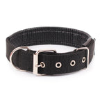 Collier en nylon solide pour chien