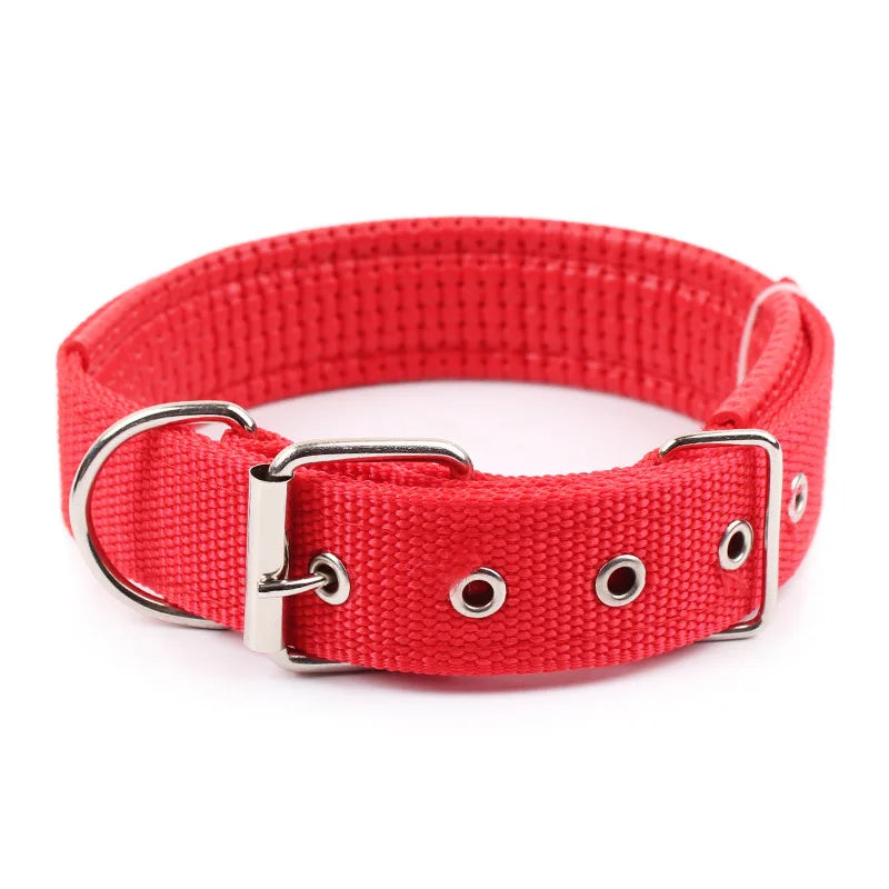 Collier en nylon solide pour chien