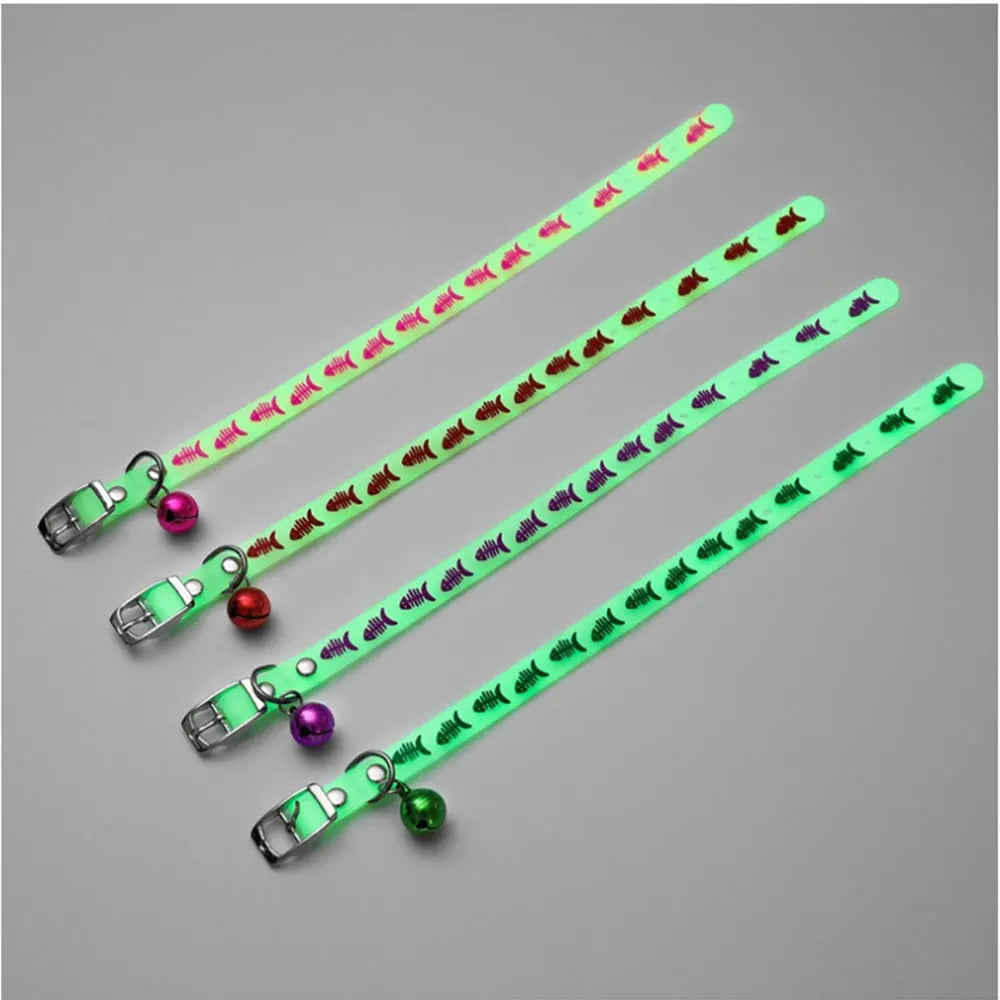 Collier lumineux en silicone pour chat