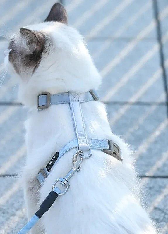 Harnais réglable avec laisse - chat