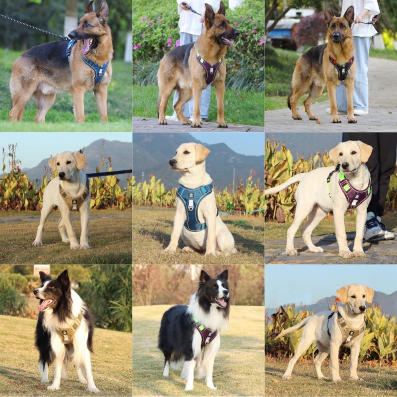 Harnais réfléchissant en tissu Oxford pour chien