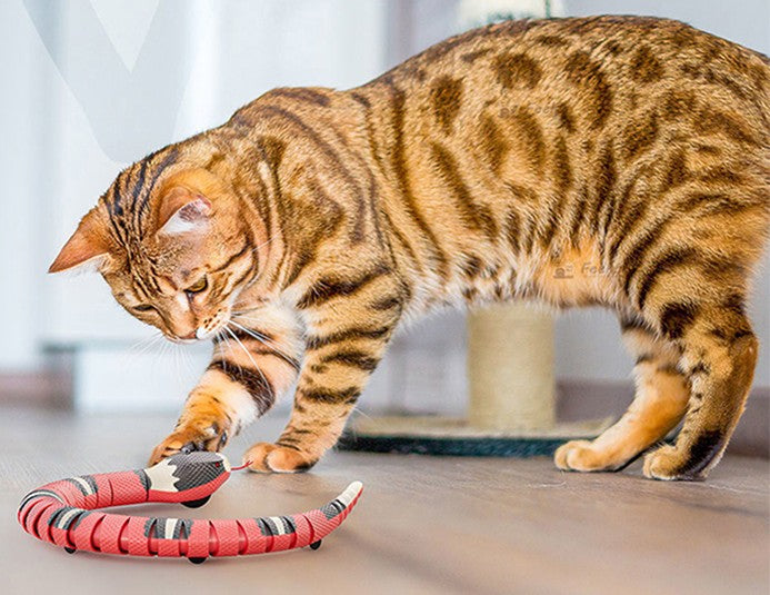 Jouet serpent interactif pour chat USB