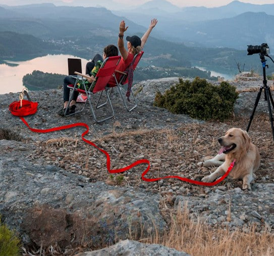 Laisse d’entraînement en nylon - chien