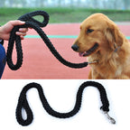 Laisse tressée en nylon pour chien