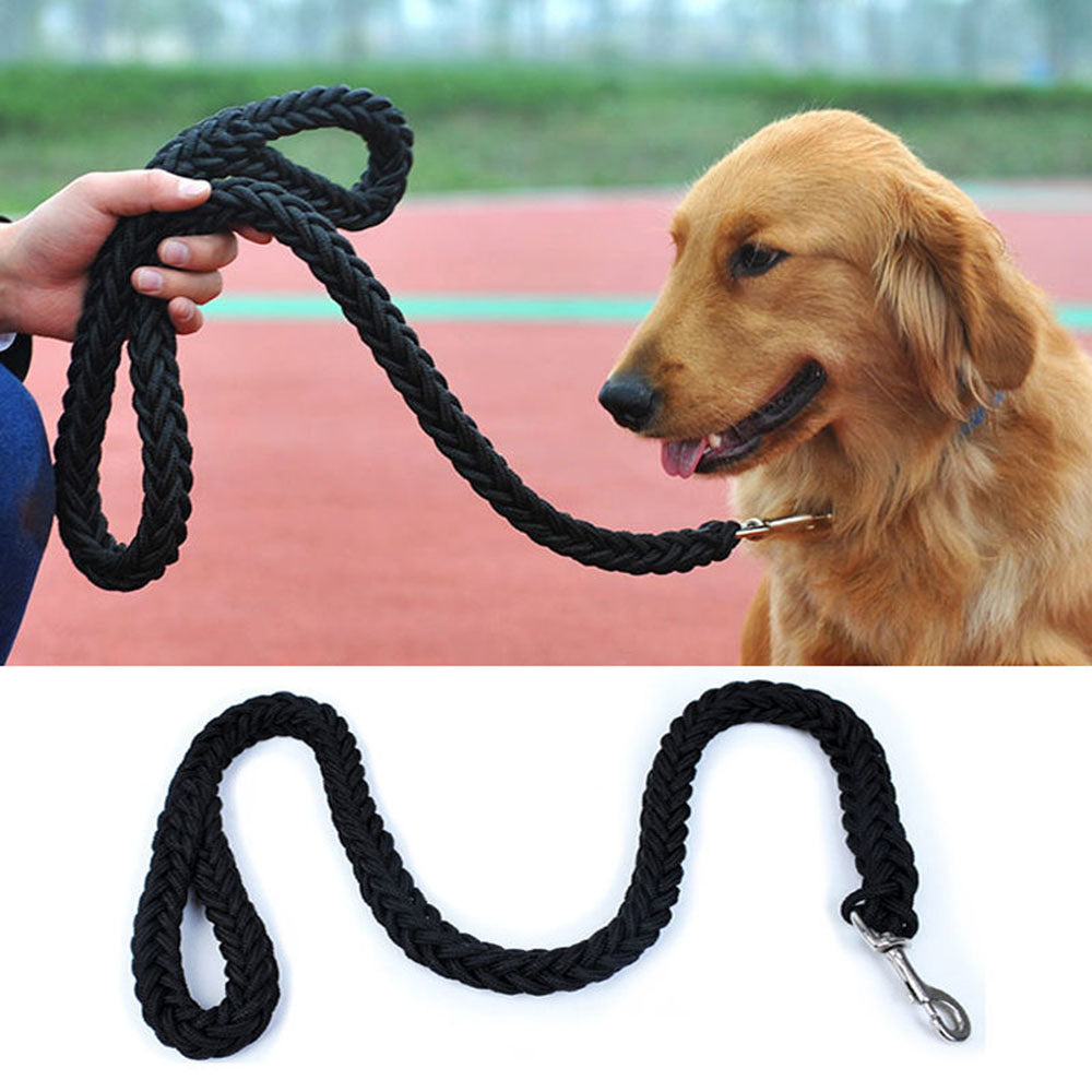 Laisse tressée en nylon pour chien