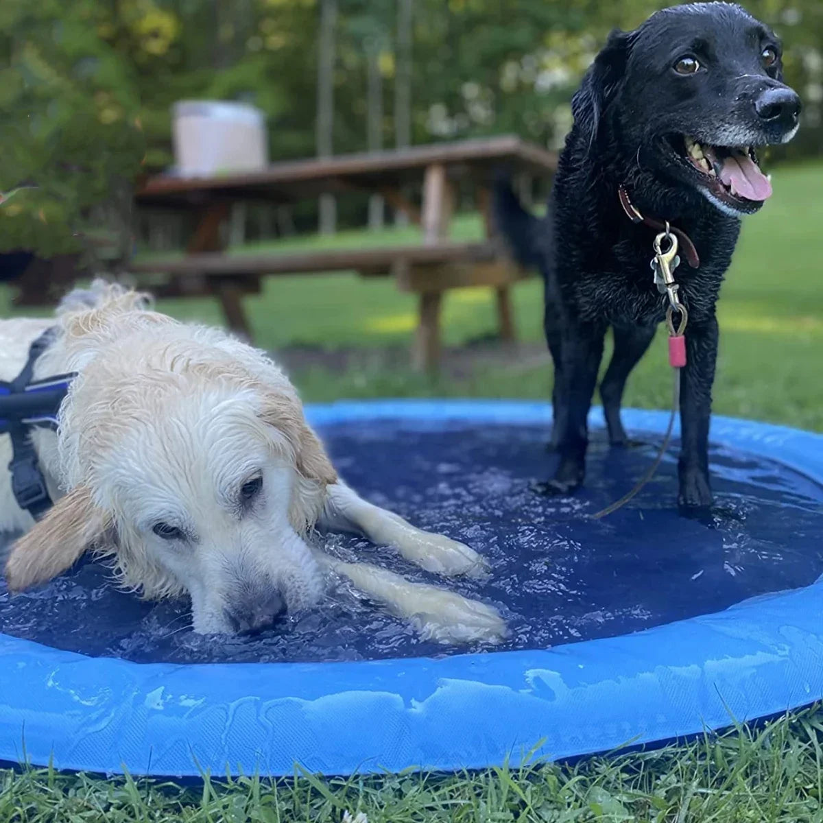 Tapis de jeu aquatique à jets d'eau - chien