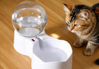 Fontaine à eau globe - chat et petit chien
