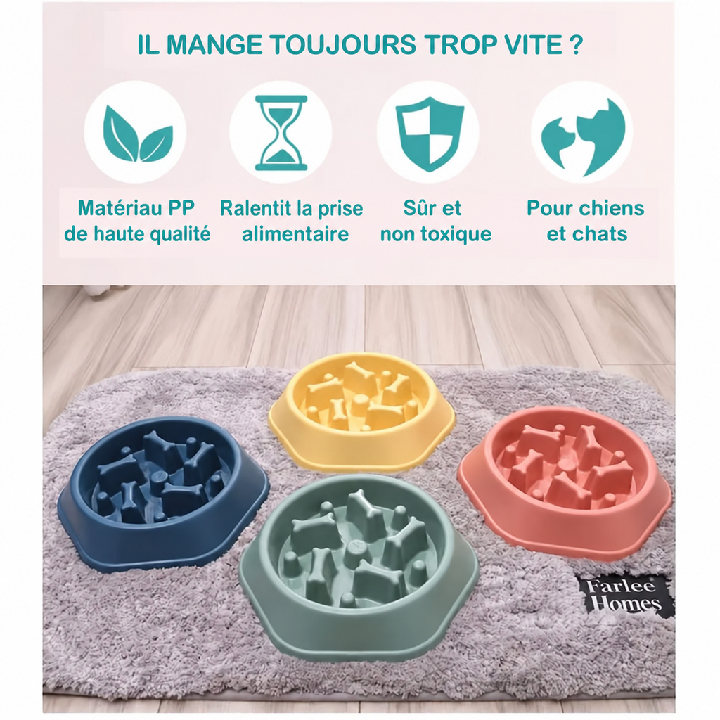 Gamelle anti-glouton antidérapante - chien ou chat