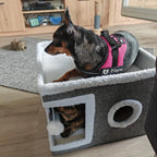 Maison pliable multi-niveaux pour chat et petit chien