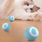 Jouet balle roulante automatique - chat