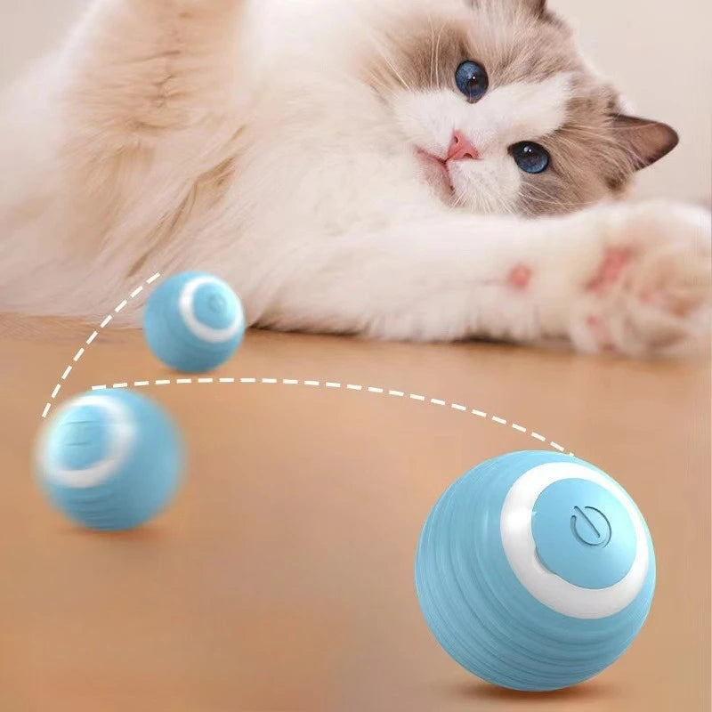 Jouet balle roulante automatique pour chat