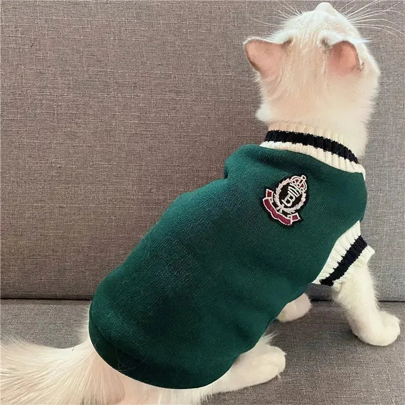 Pull d’hiver col V style collège - chien et chat
