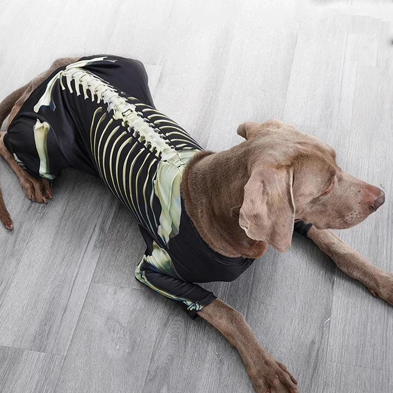 Costume squelette Halloween - chien