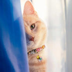 Collier pour chat avec pendentif fleur