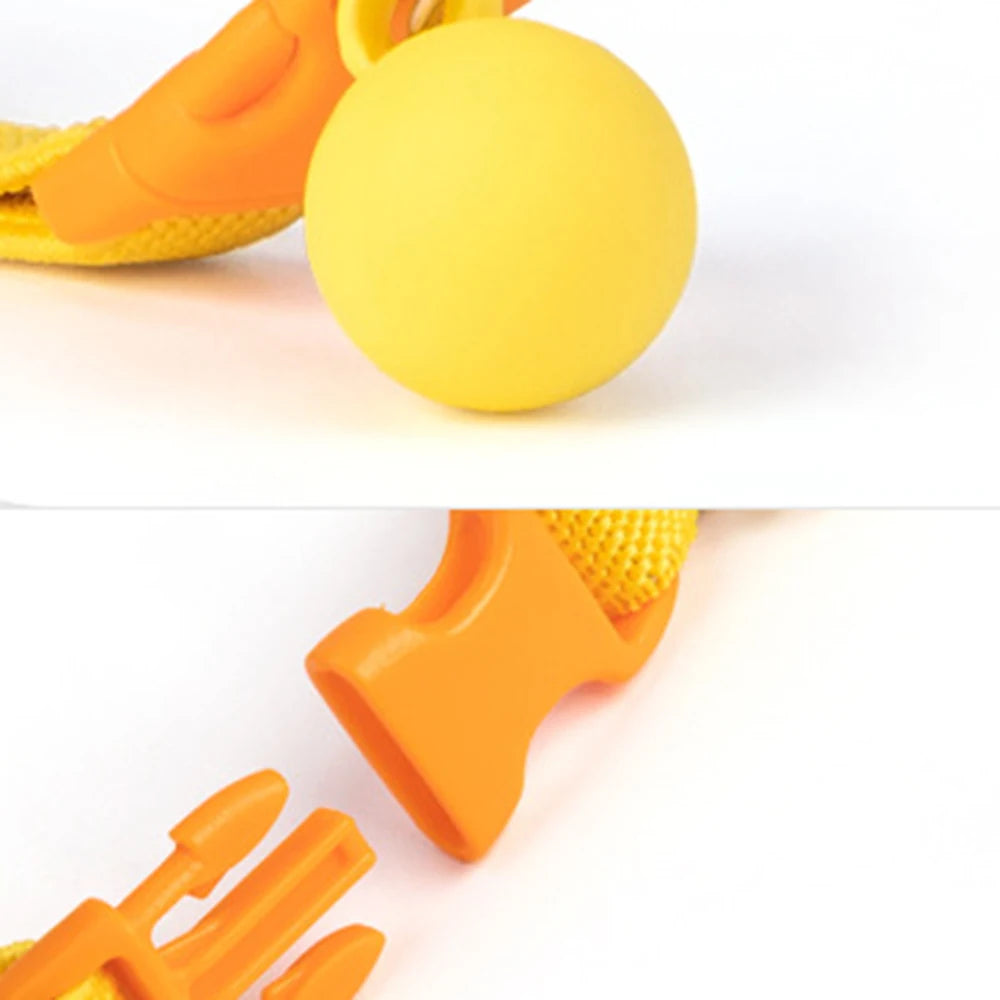 Collier élastique pour chat et petit chien avec cloche amovible