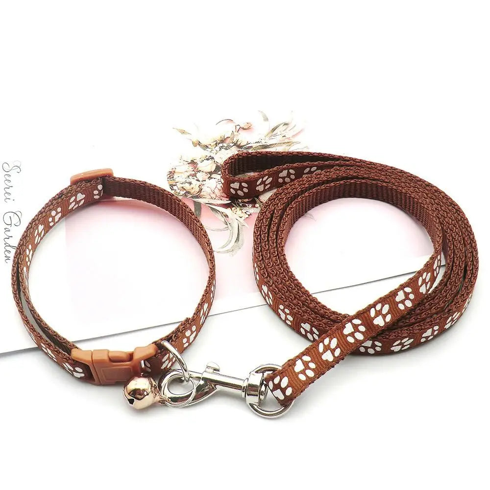 Collier + laisse nylon motif empreintes pour chat et petit chien