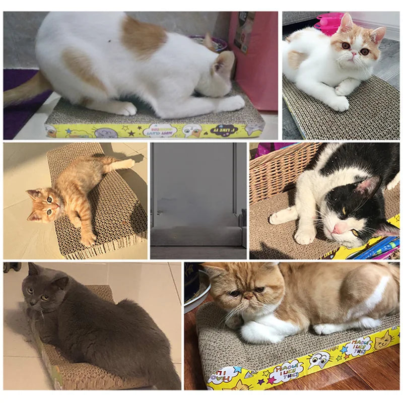 Griffoir en carton ondulé pour chat