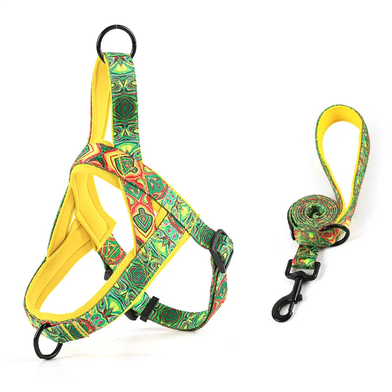 Harnais avec laisse réglable pour chien