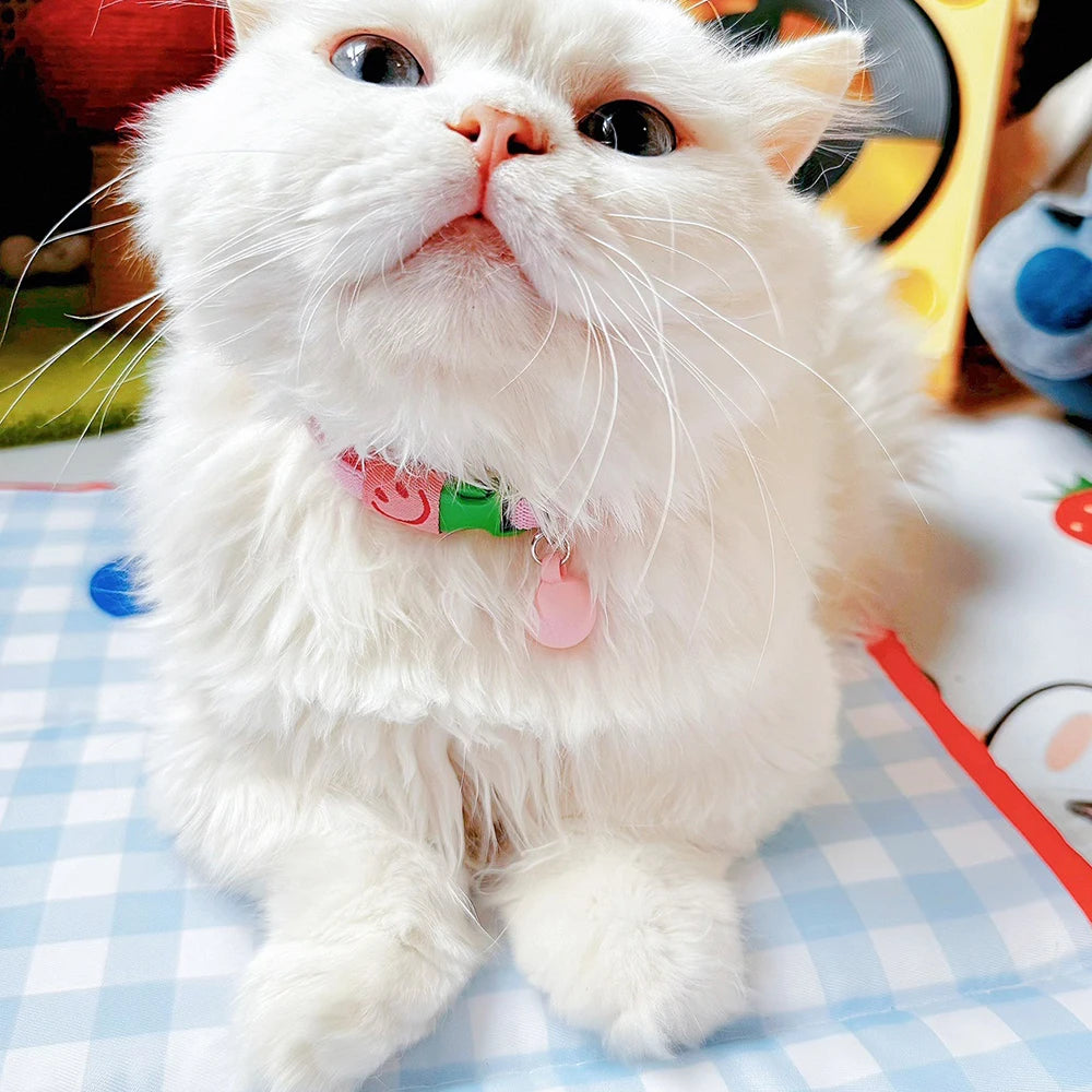 Collier élastique pour chat et petit chien avec cloche amovible