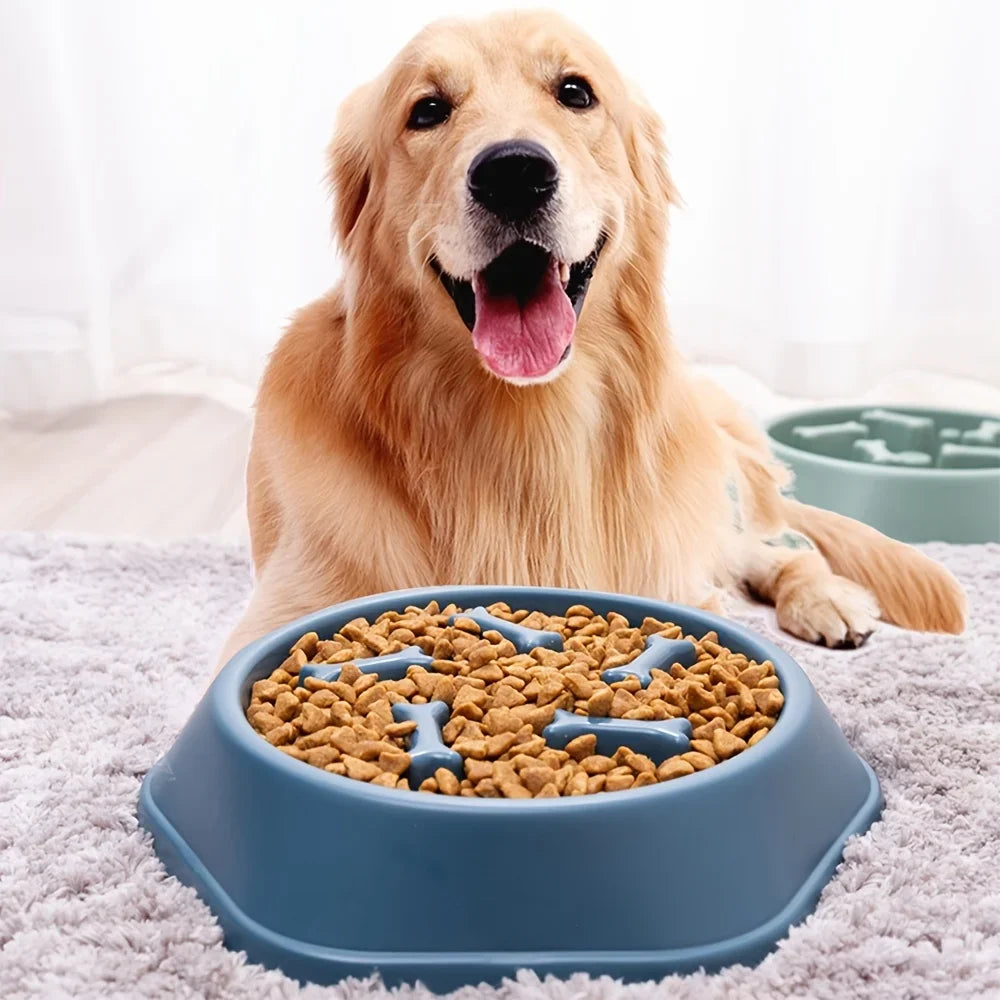Gamelle anti-glouton antidérapante - chien ou chat