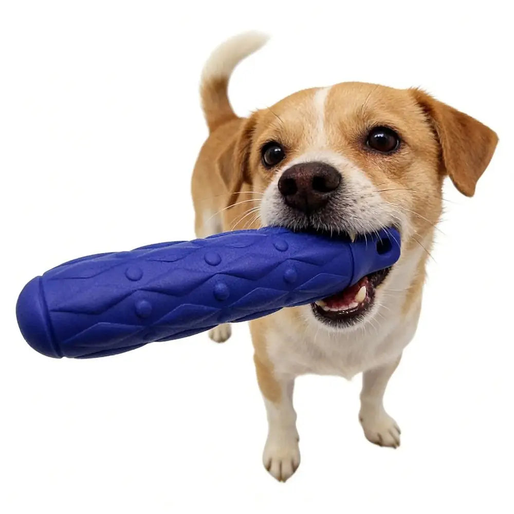 Bâton de mastication - chien