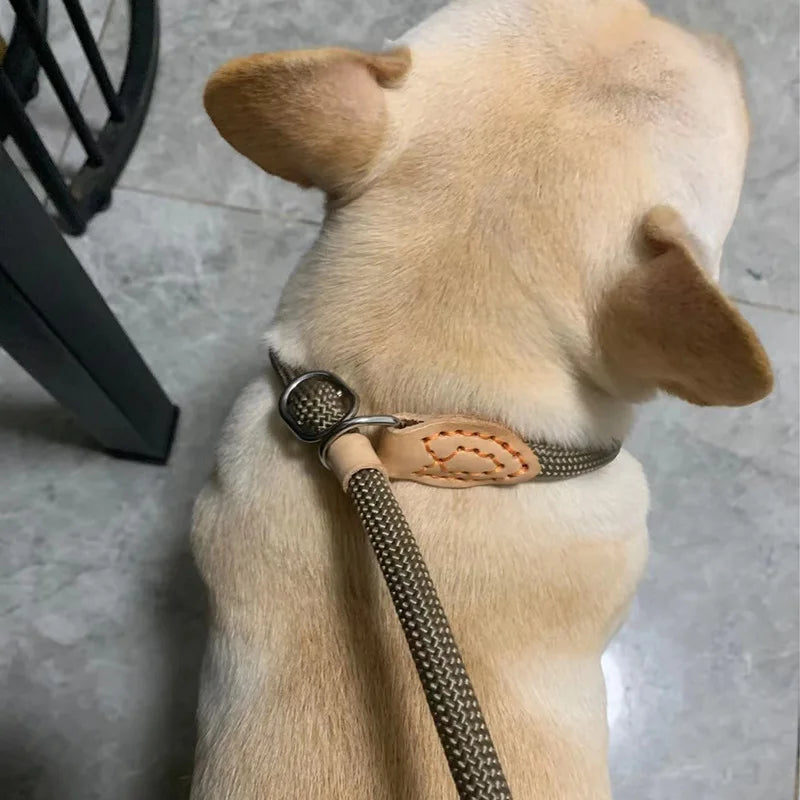 Laisse corde avec collier coulissant réglable pour chien
