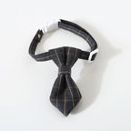 Collier cravate chic pour chat et petit chien