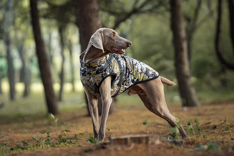 Manteau d’hiver hydrofuge pour chien