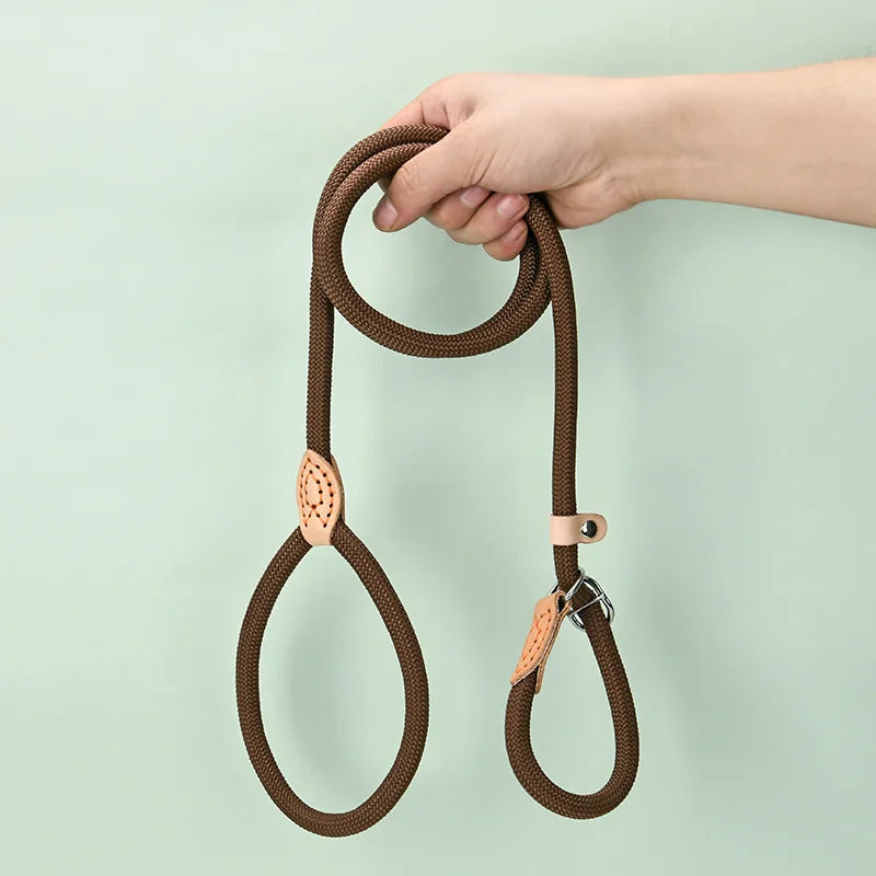 Laisse corde avec collier coulissant réglable pour chien