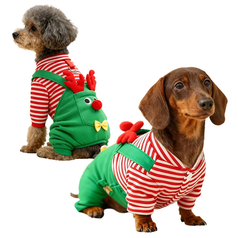 Pyjama de Noël pour chien & chat