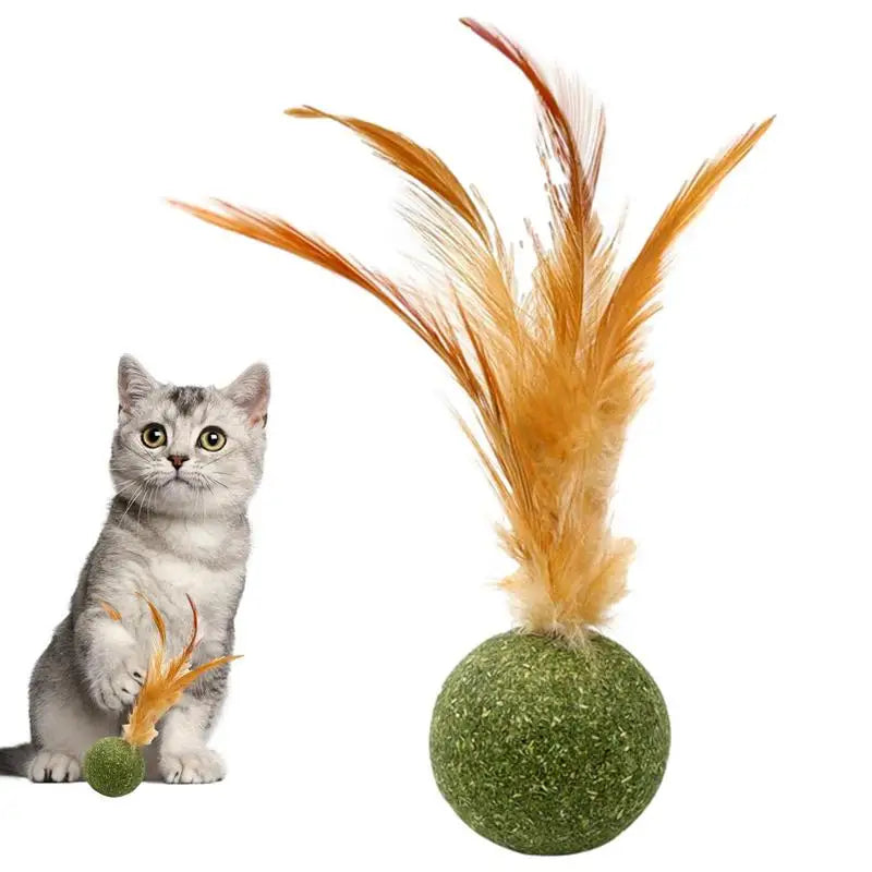 Boule à plumes à l’herbe à chat naturelle pour chat
