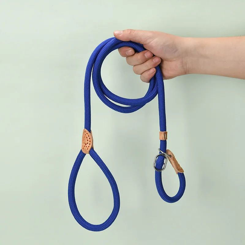 Laisse corde avec collier coulissant réglable pour chien