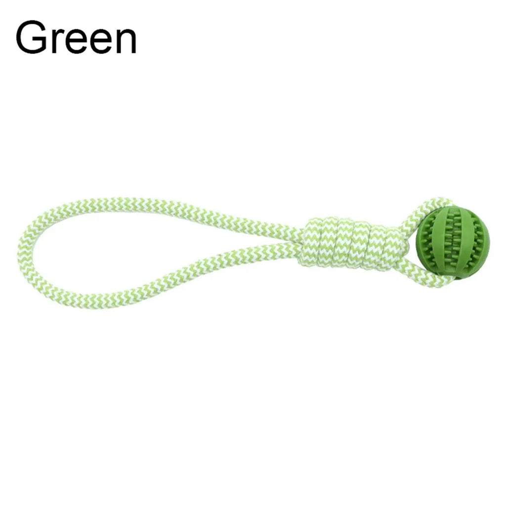 Jouet interactif à mâcher avec corde - chien