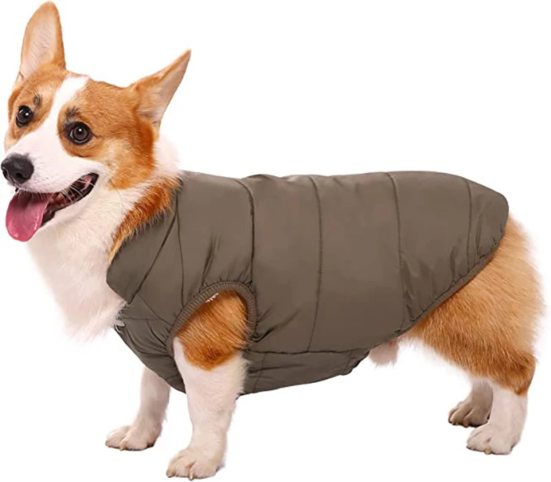 Veste d’Hiver Polaire pour Chien et Chat